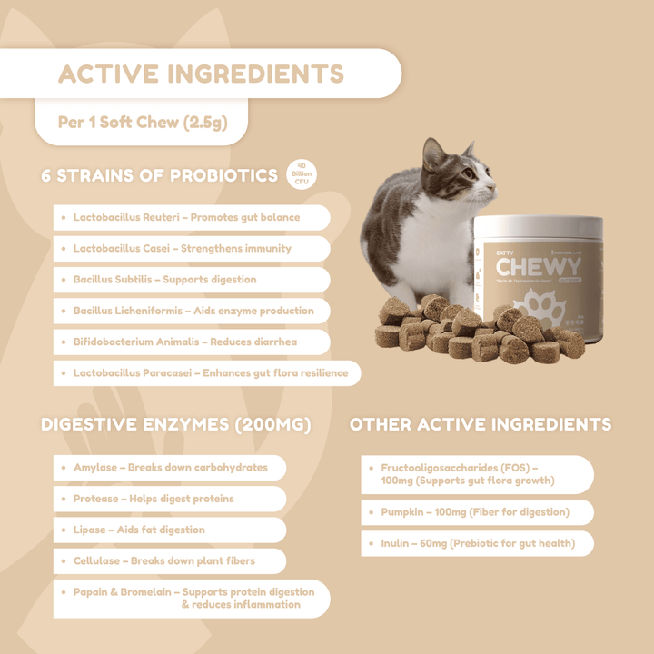 Catty Chewy - GutBoost Allbiotics Chews (120 Chews/300g)