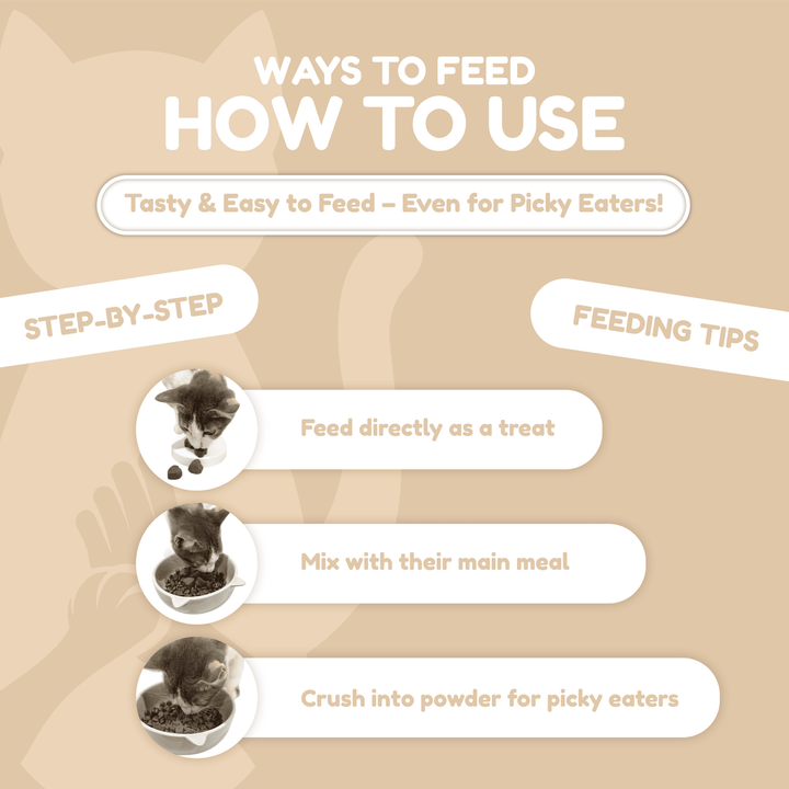 Catty Chewy - GutBoost Allbiotics Chews (120 Chews/300g)