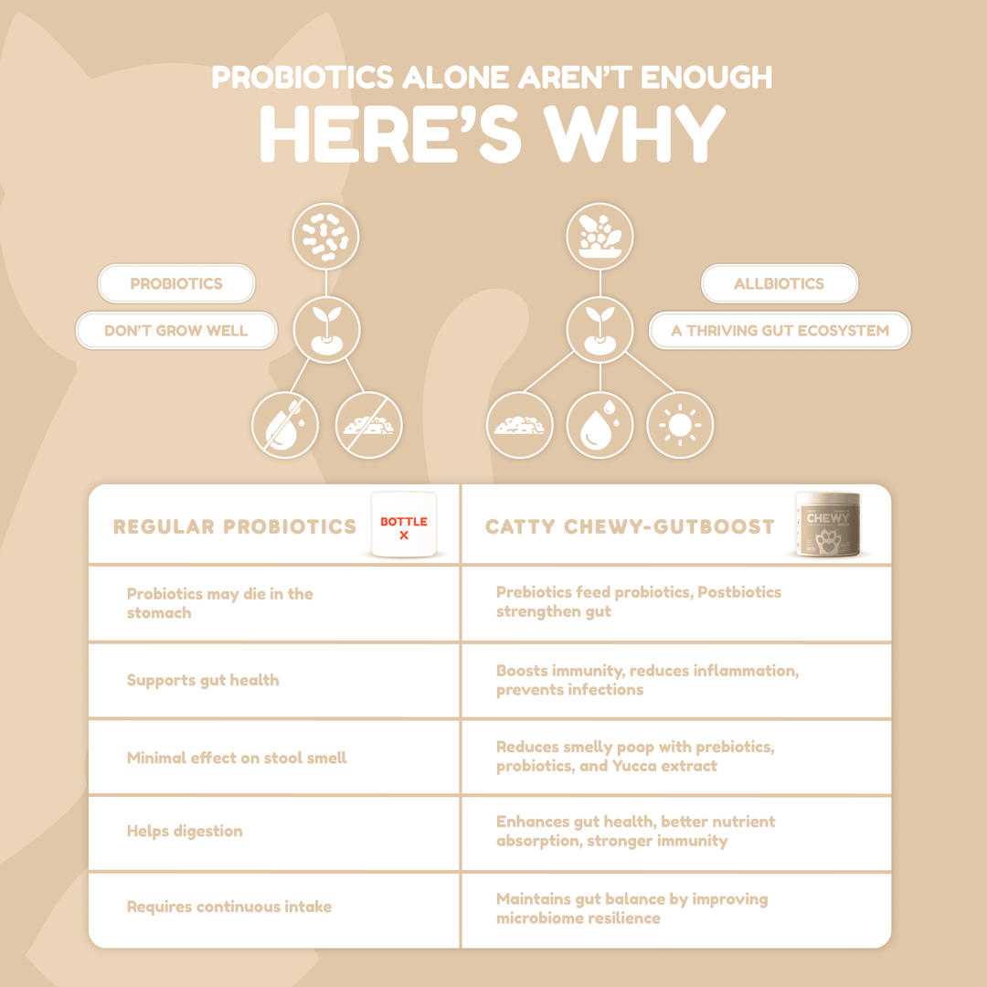 Catty Chewy - GutBoost Allbiotics Chews (120 Chews/300g)