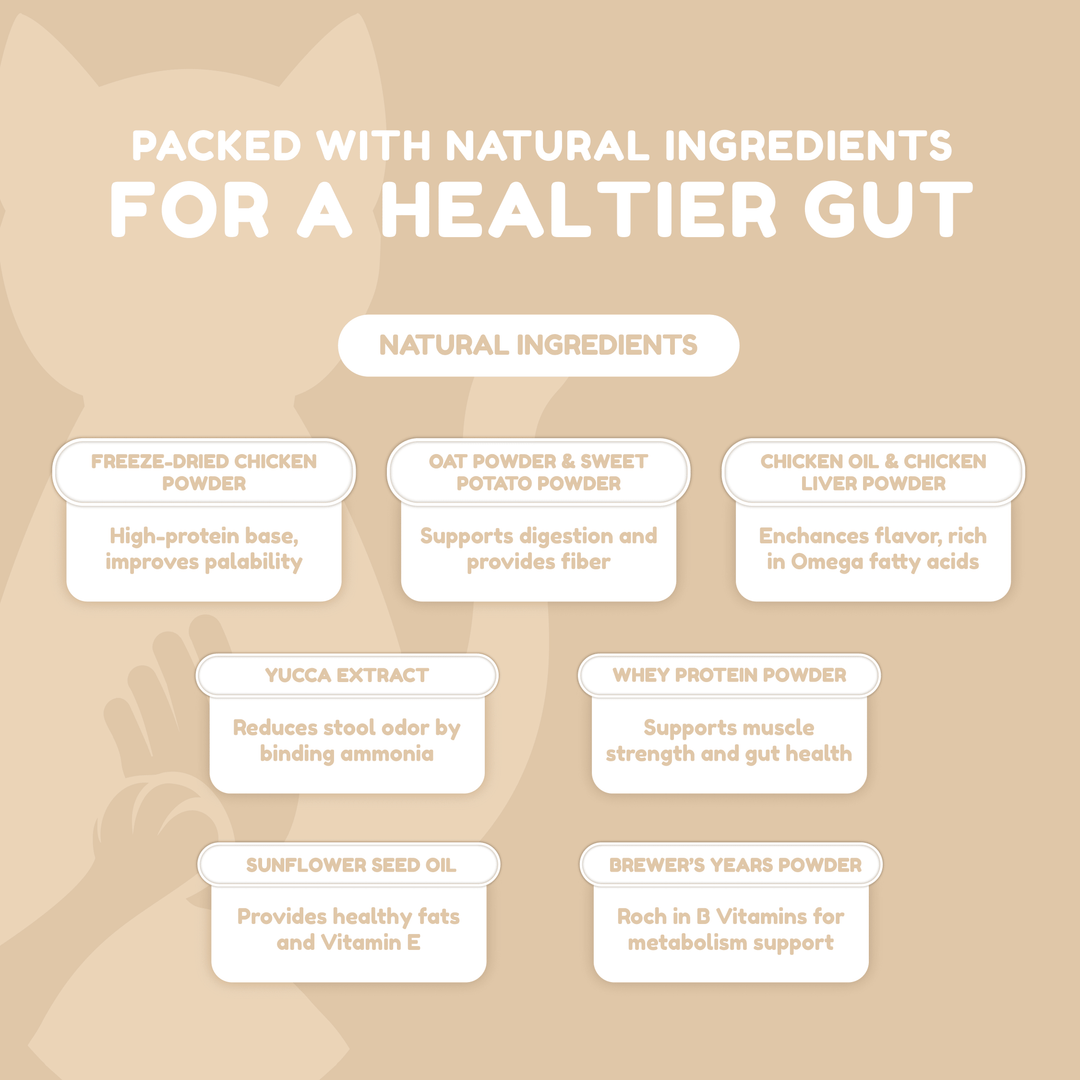 Catty Chewy - GutBoost Allbiotics Chews (120 Chews/300g)