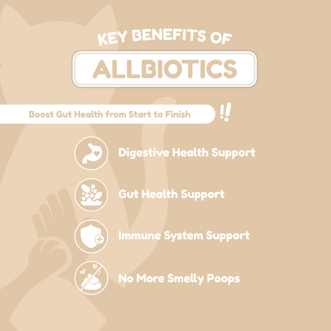 Catty Chewy - GutBoost Allbiotics Chews (120 Chews/300g)