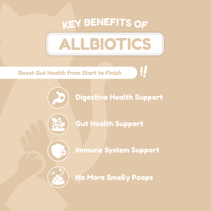 Catty Chewy - GutBoost Allbiotics Chews (120 Chews/300g)