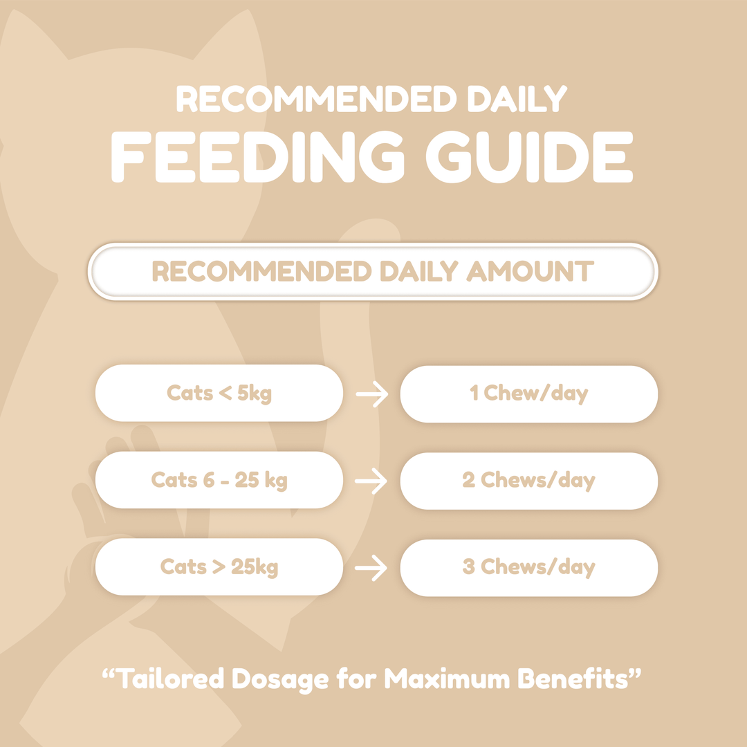 Catty Chewy - GutBoost Allbiotics Chews (120 Chews/300g)