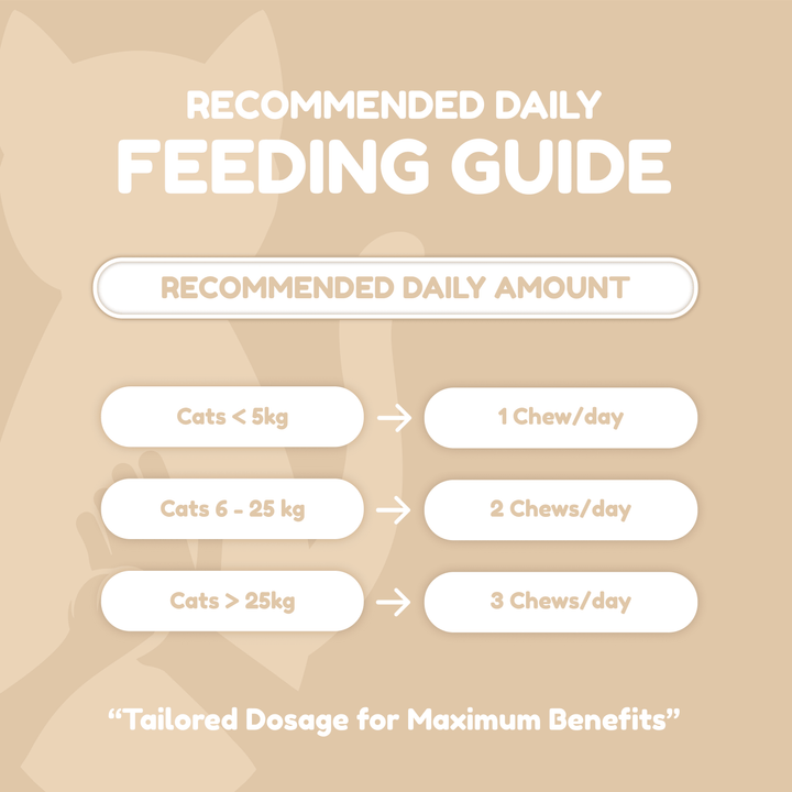 Catty Chewy - GutBoost Allbiotics Chews (120 Chews/300g)