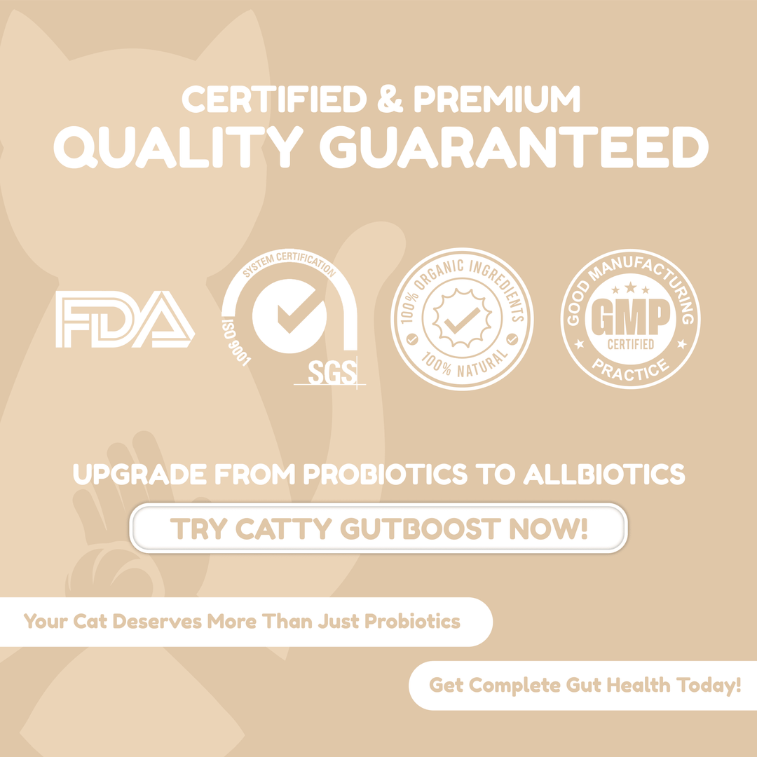 Catty Chewy - GutBoost Allbiotics Chews (120 Chews/300g)