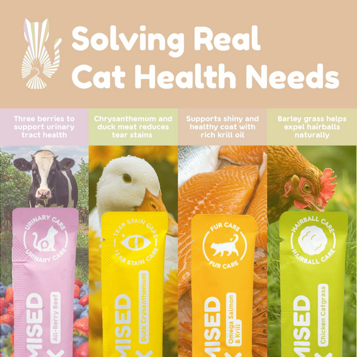 Pawmised Stick - Functional Meal Grade Cat Stick