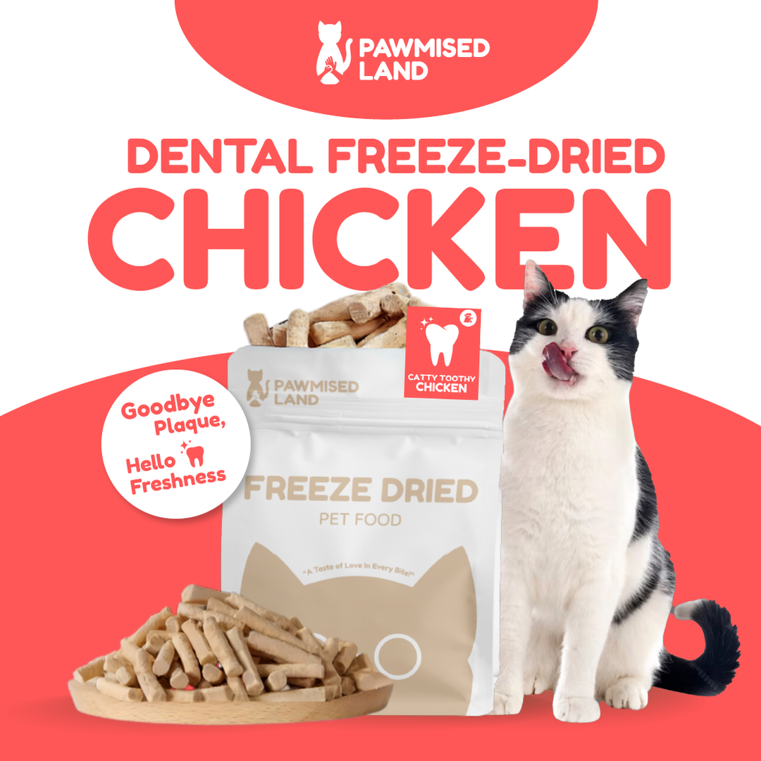 Catty Toothy - Dental Freeze Dried