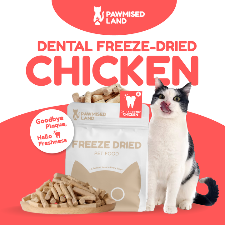 Catty Toothy - Dental Freeze Dried