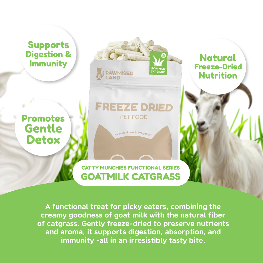 Catty Munchies - Functional Series