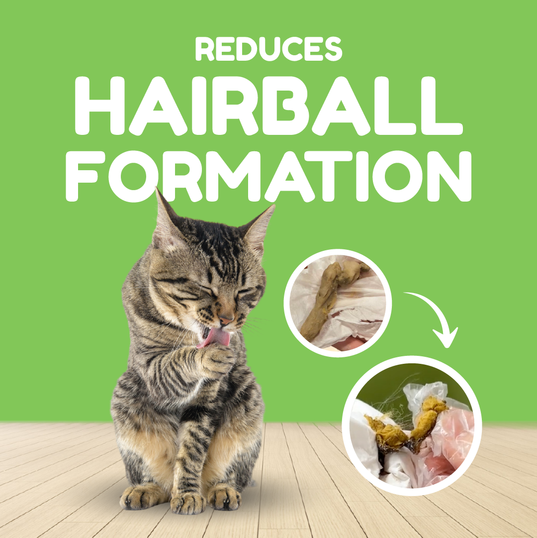 Catty Munchies - Functional Series