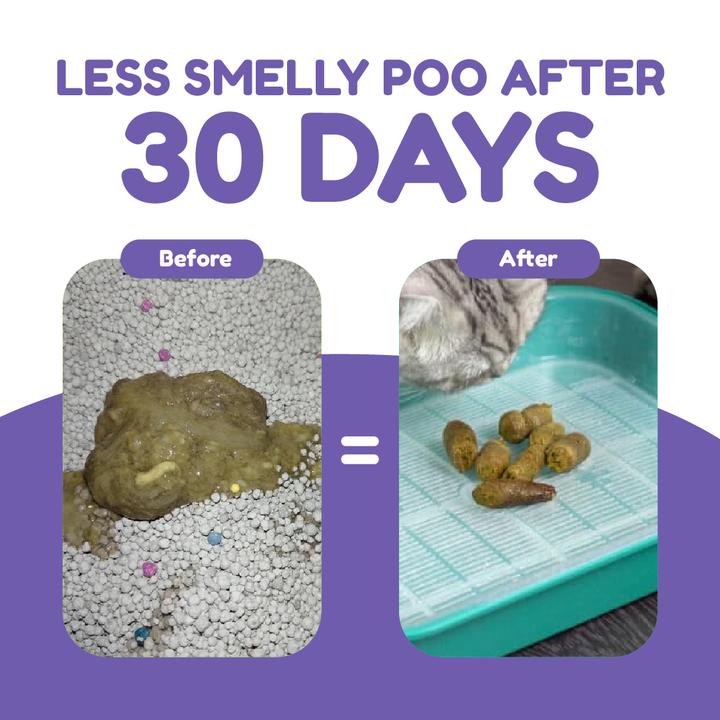 Catty Munchies - Functional Series