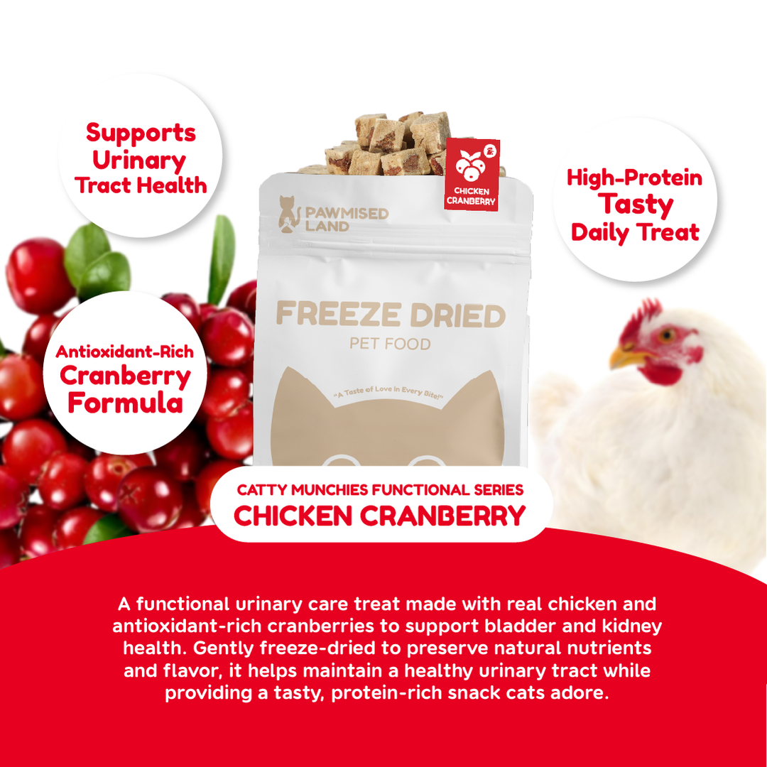 Catty Munchies - Functional Series