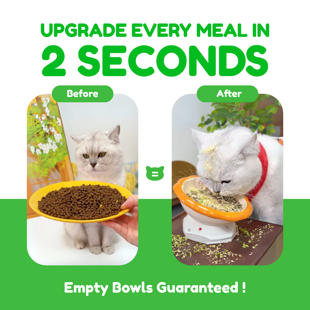 Catty Flossy - Functional Freeze-Dried Kibbles Topper