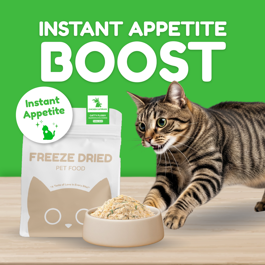 Catty Flossy - Functional Freeze-Dried Kibbles Topper