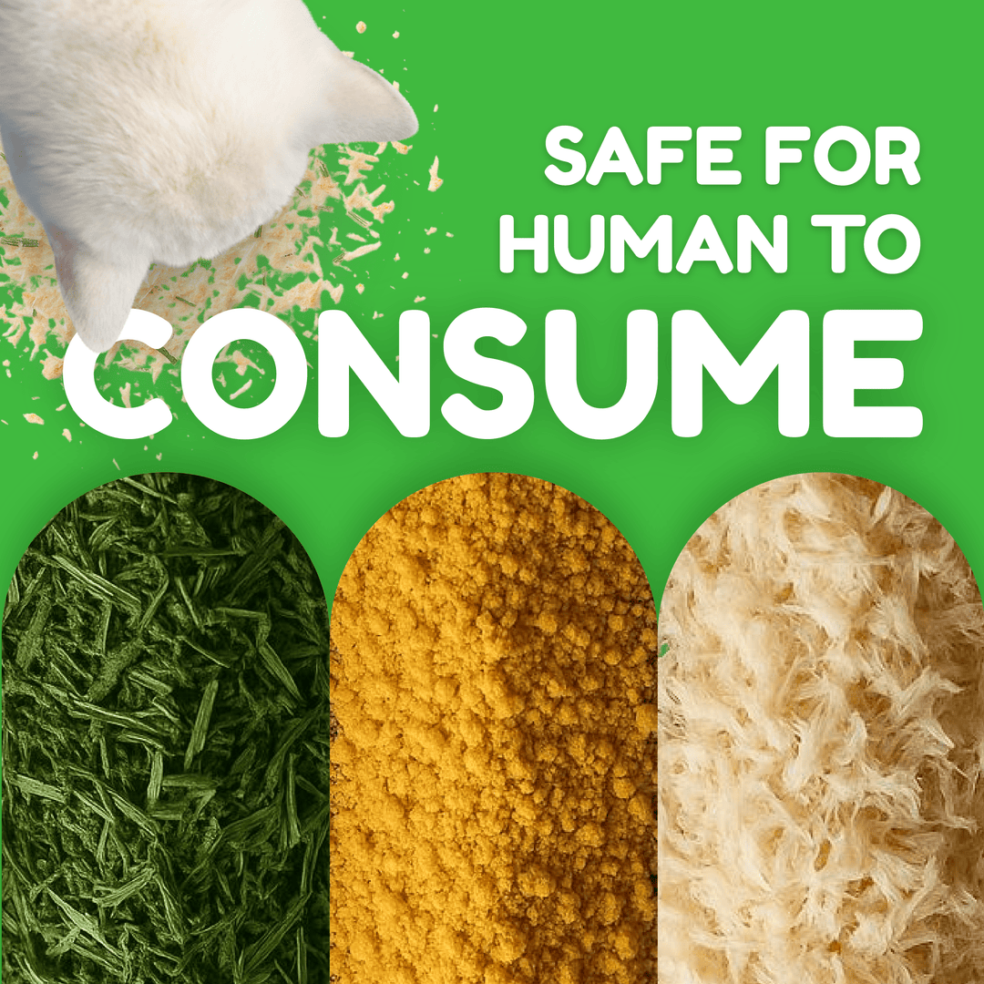 Catty Flossy - Functional Freeze-Dried Kibbles Topper