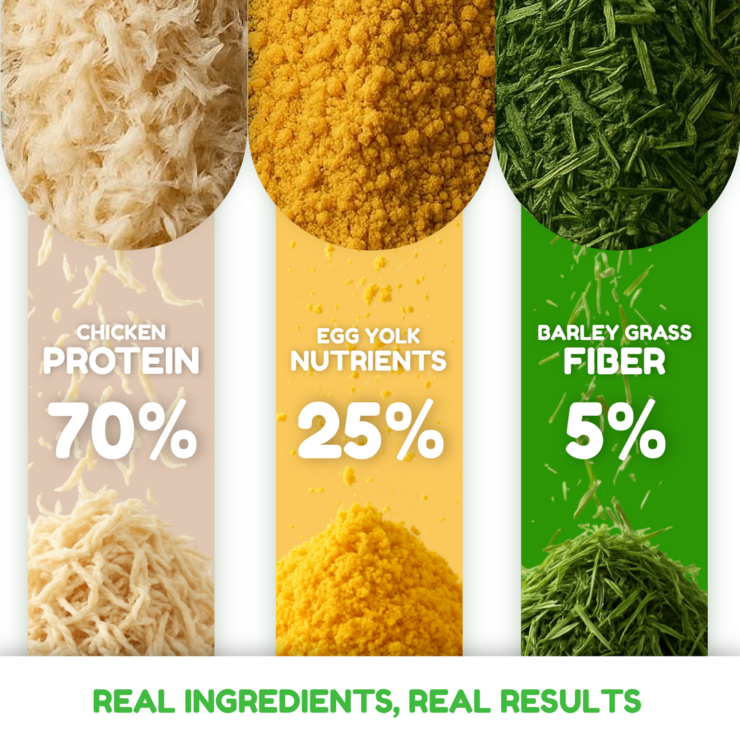 Catty Flossy - Functional Freeze-Dried Kibbles Topper