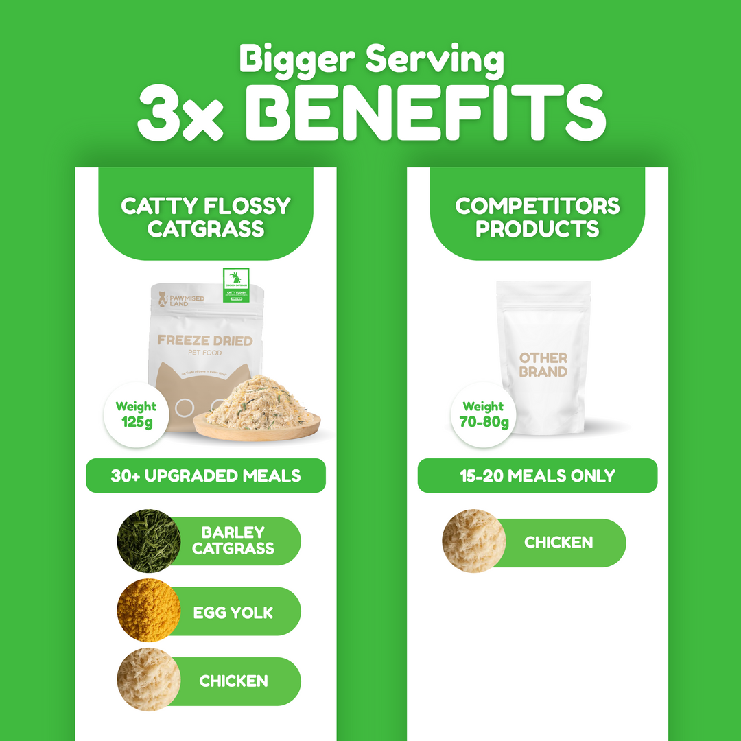 Catty Flossy - Functional Freeze-Dried Kibbles Topper