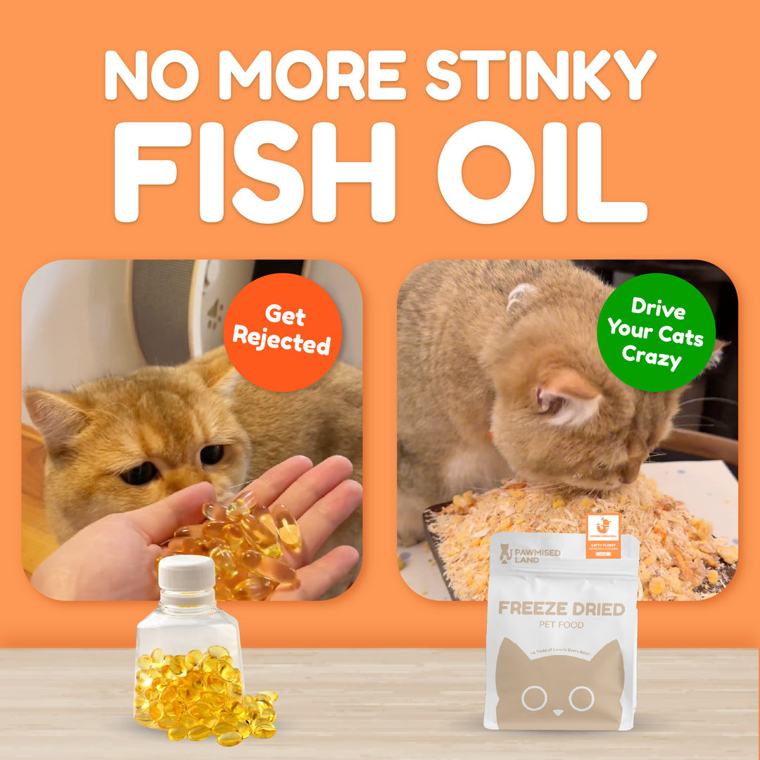 Catty Flossy - Functional Freeze-Dried Kibbles Topper