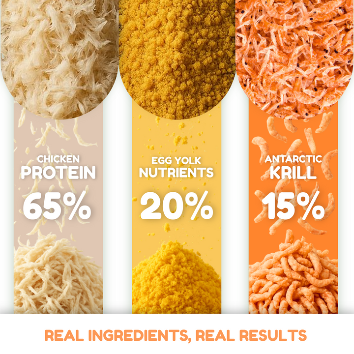 Catty Flossy - Functional Freeze-Dried Kibbles Topper