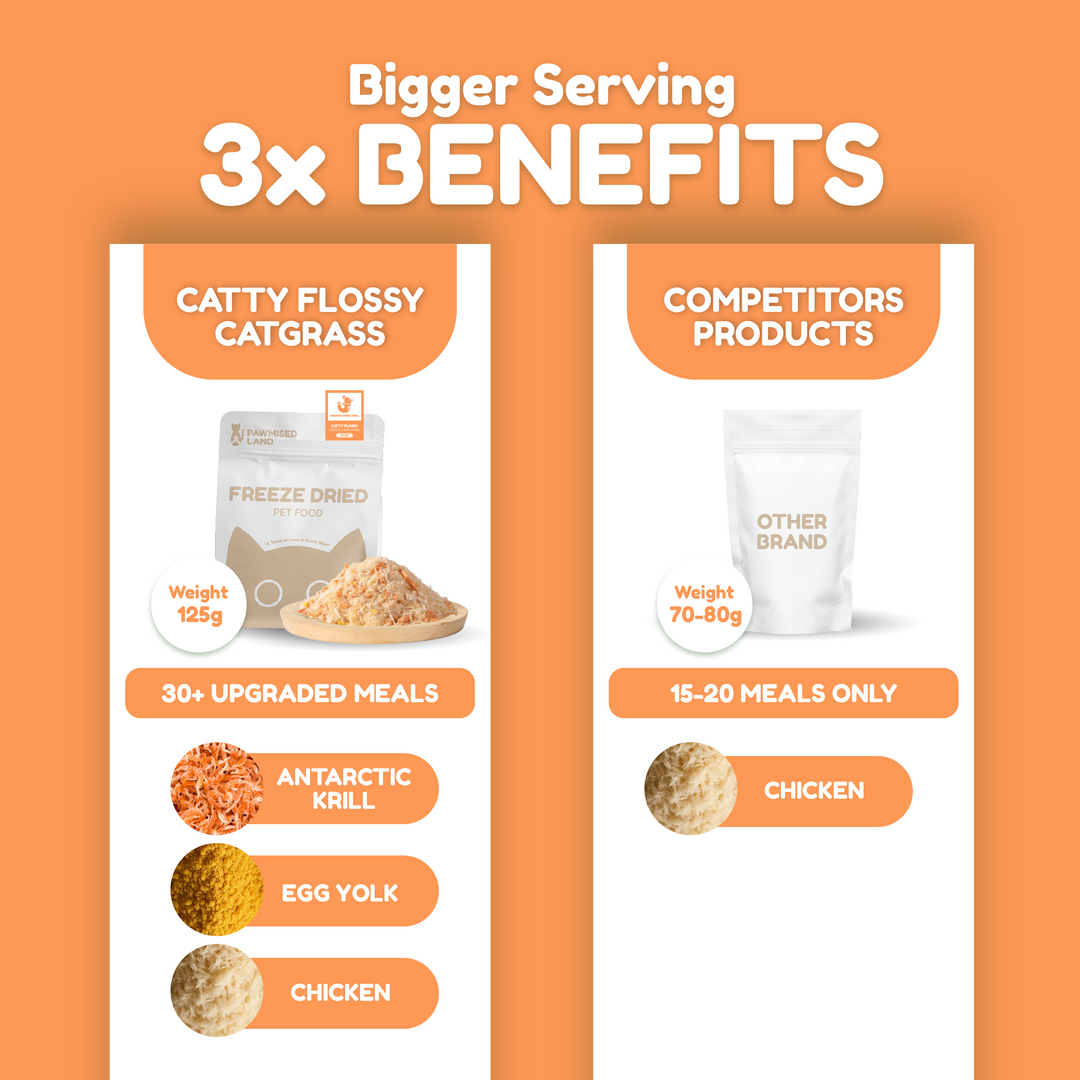 Catty Flossy - Functional Freeze-Dried Kibbles Topper