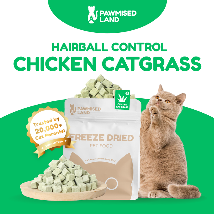 Catty Munchies - Functional Series