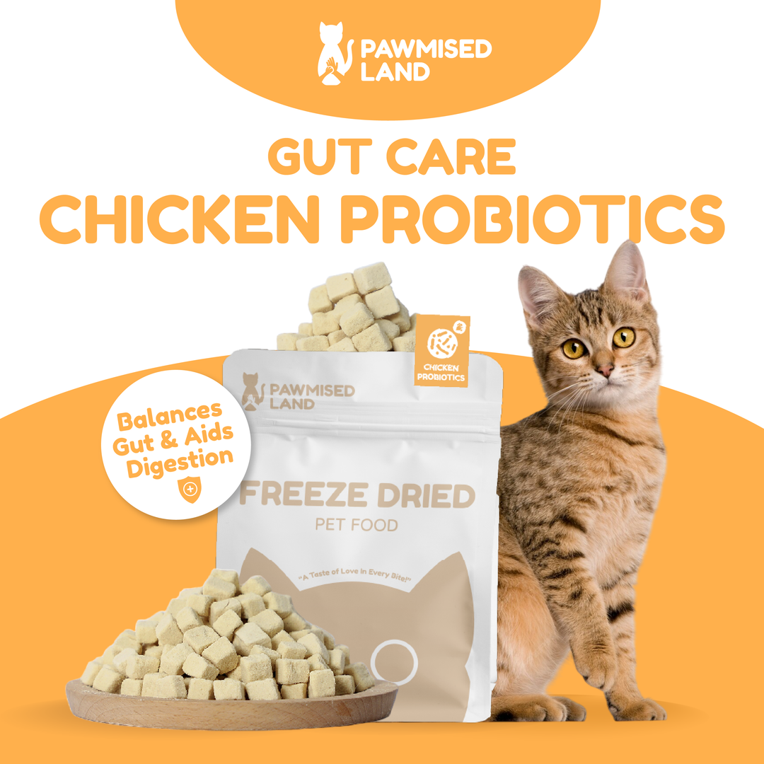 Catty Munchies - Functional Series