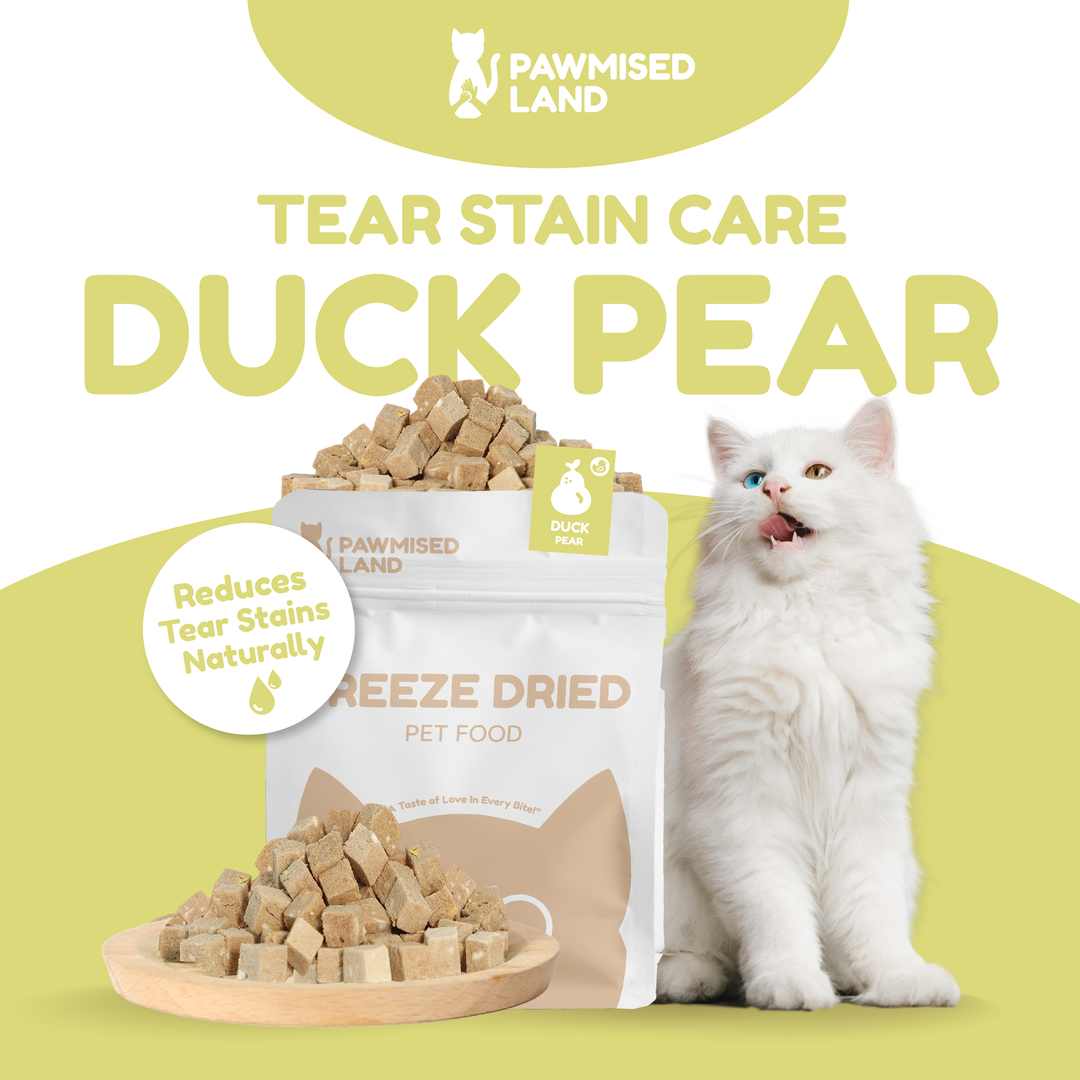 Catty Munchies - Functional Series