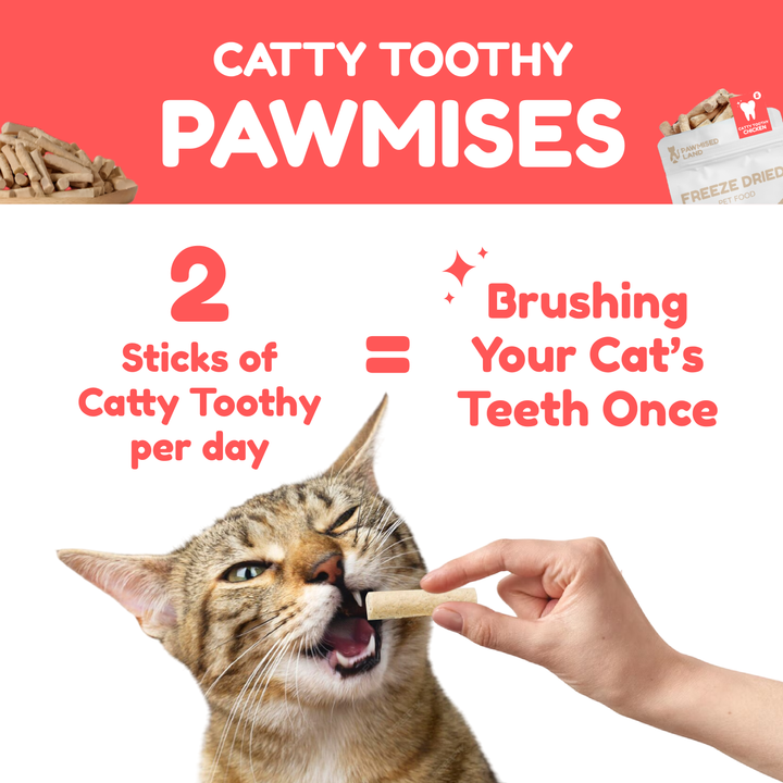 Catty Toothy - Dental Freeze Dried