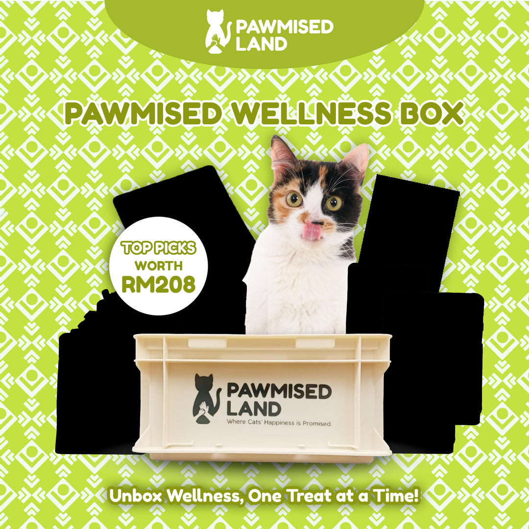 Pawmised Wellness Box