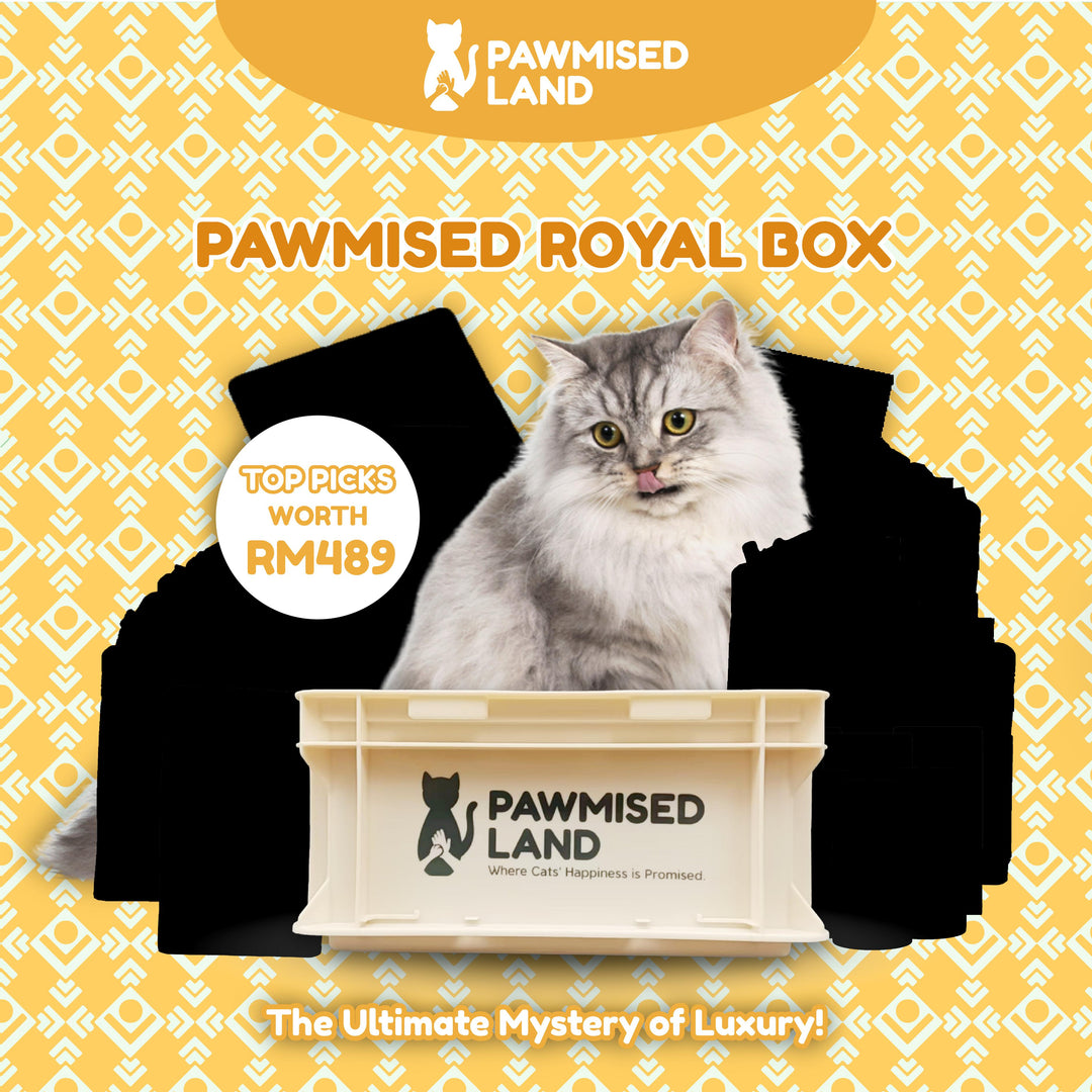 Pawmised Royal Box