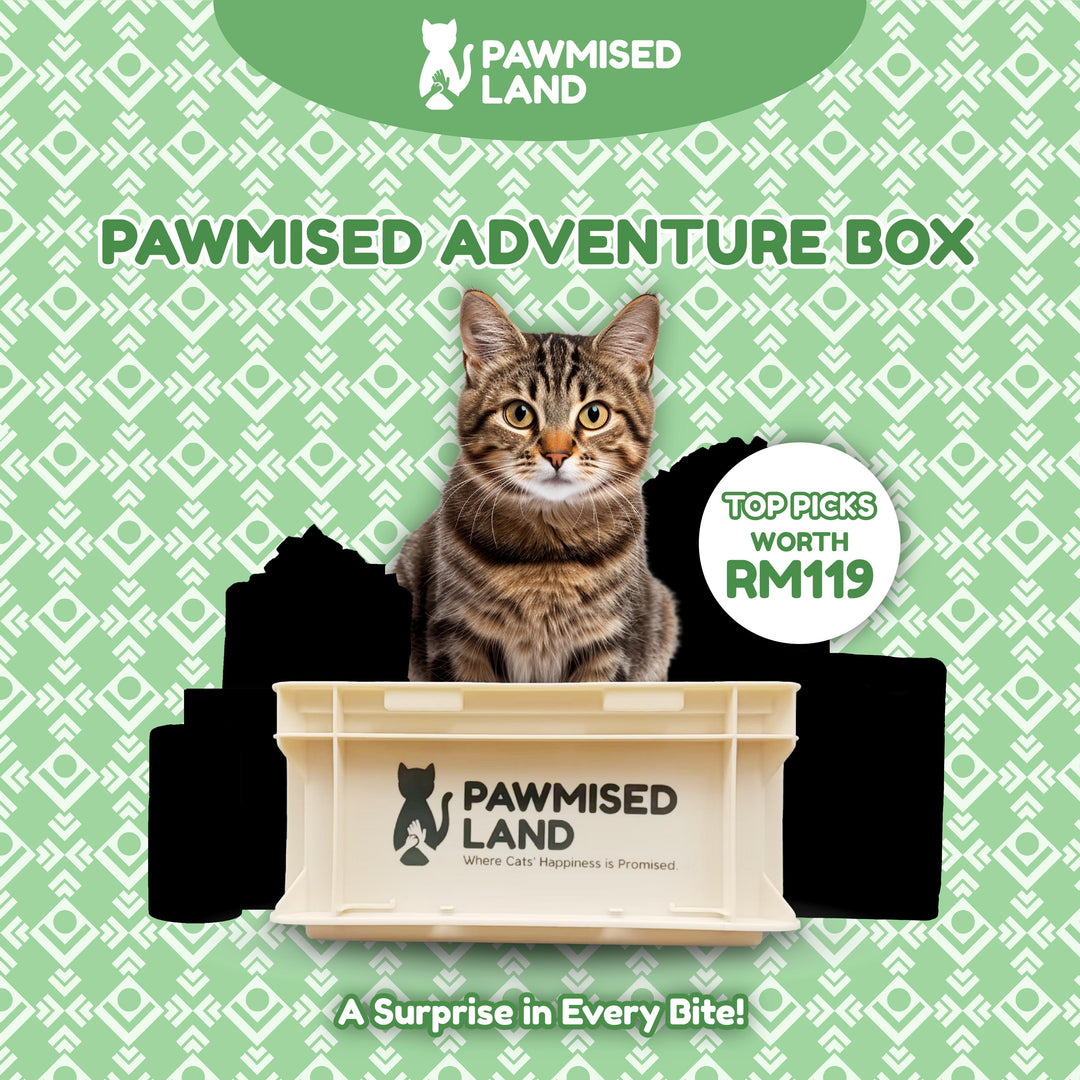 Pawmised Adventure Box