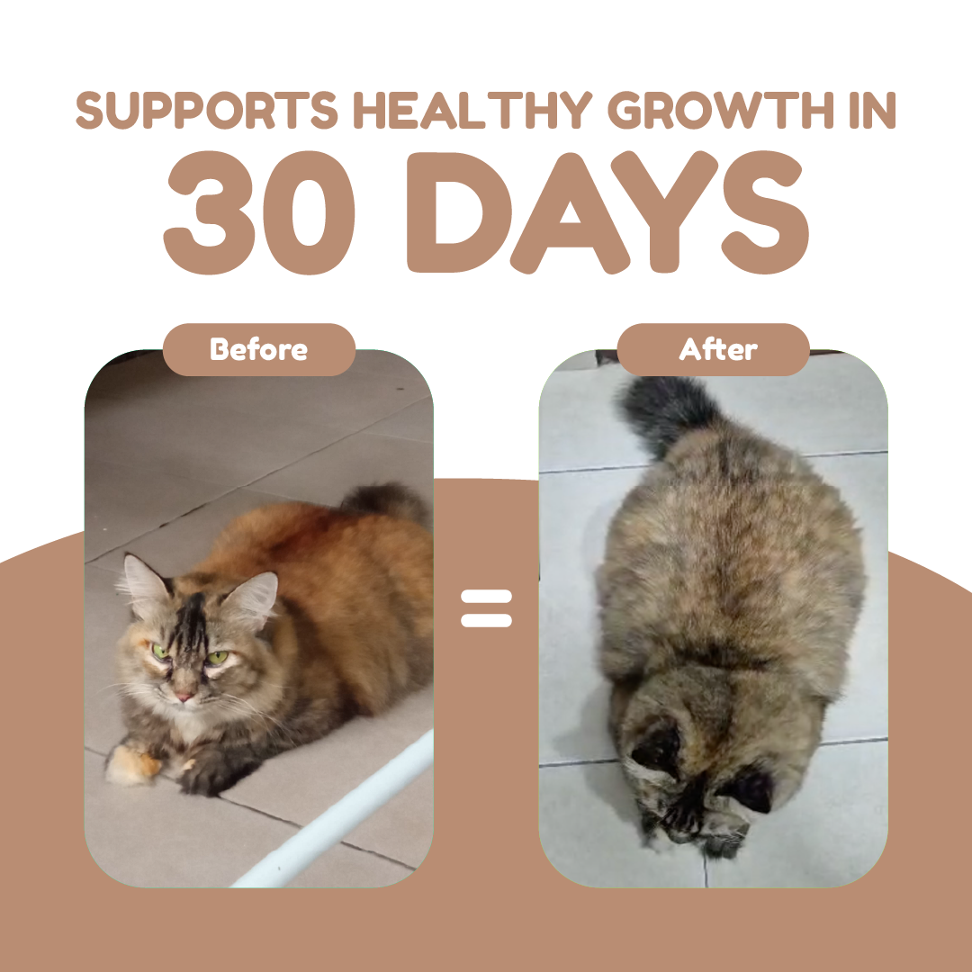 Catty Munchies Freeze Dried