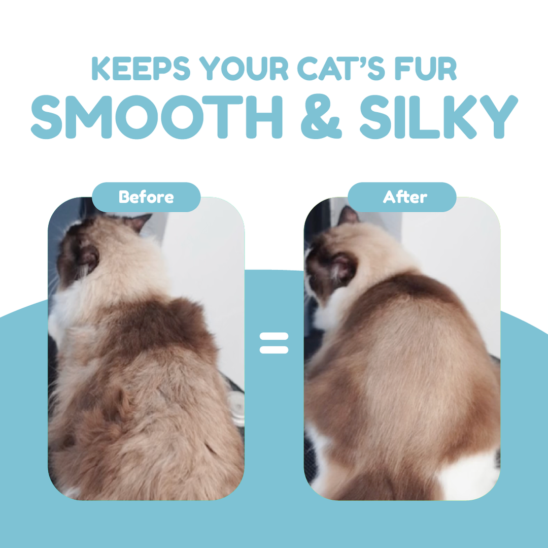 Catty Munchies Freeze Dried