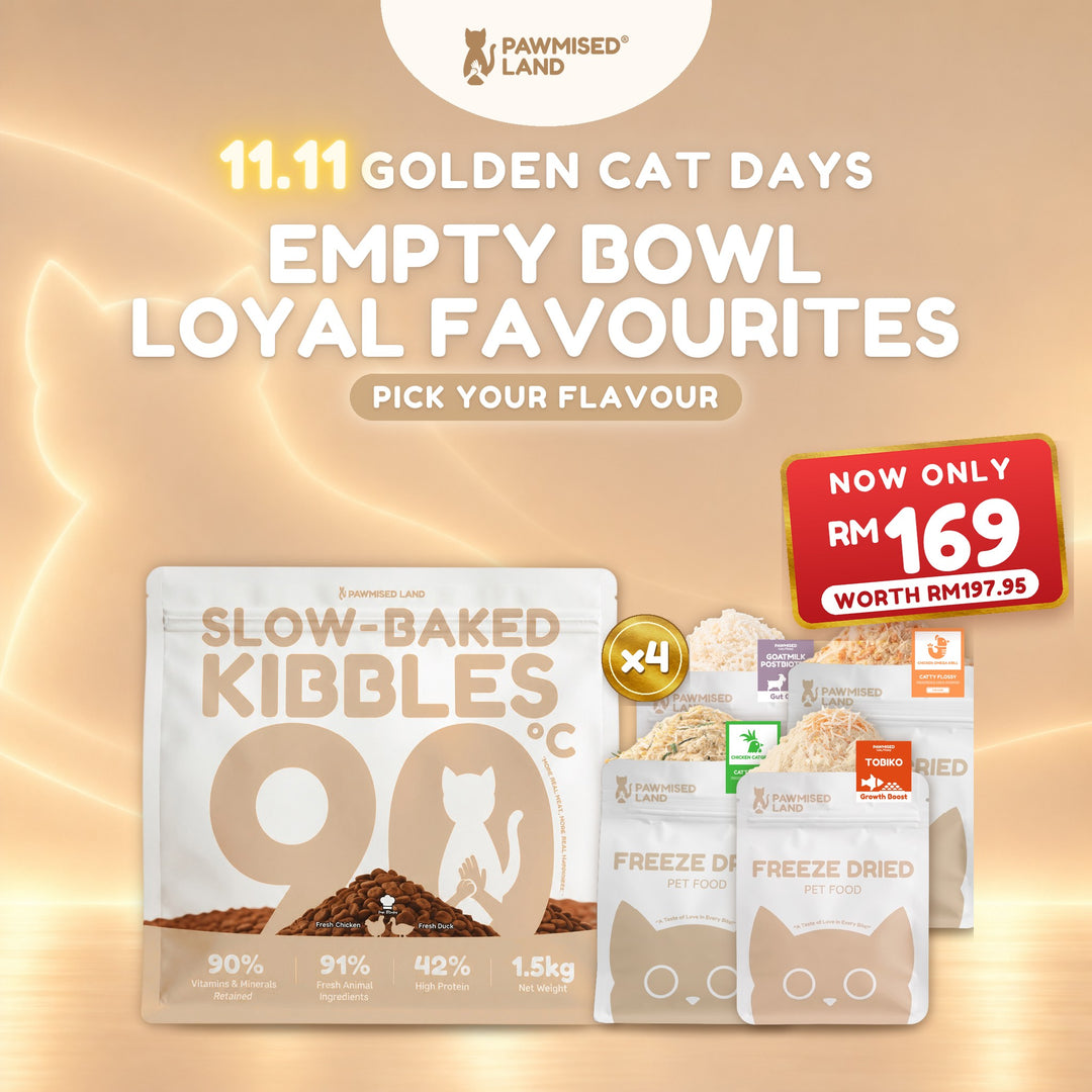 Empty Bowl Loyal Favourites, 11.11 Golden Cat Days bundle
