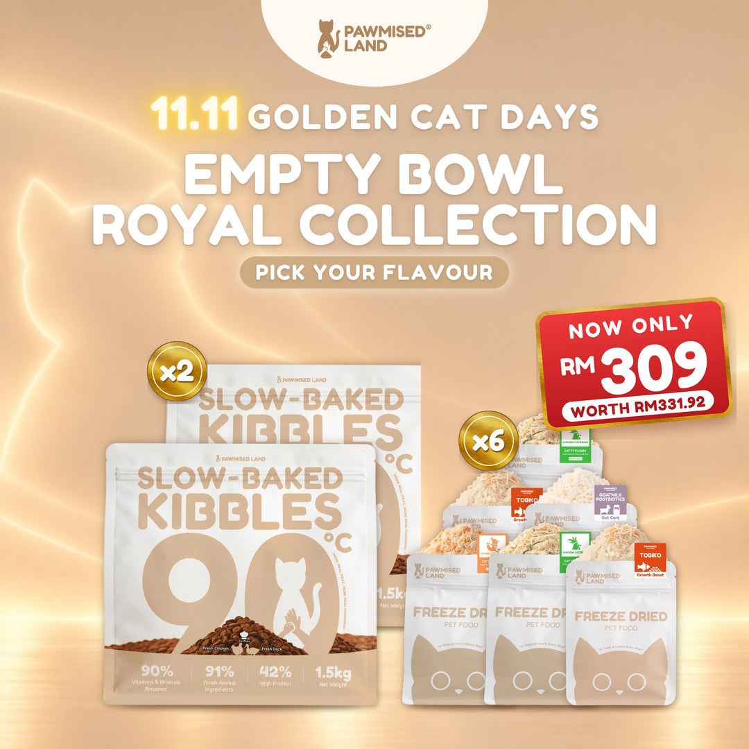 Empty Bowl Royal Collection, 11.11 Golden Cat Days bundle