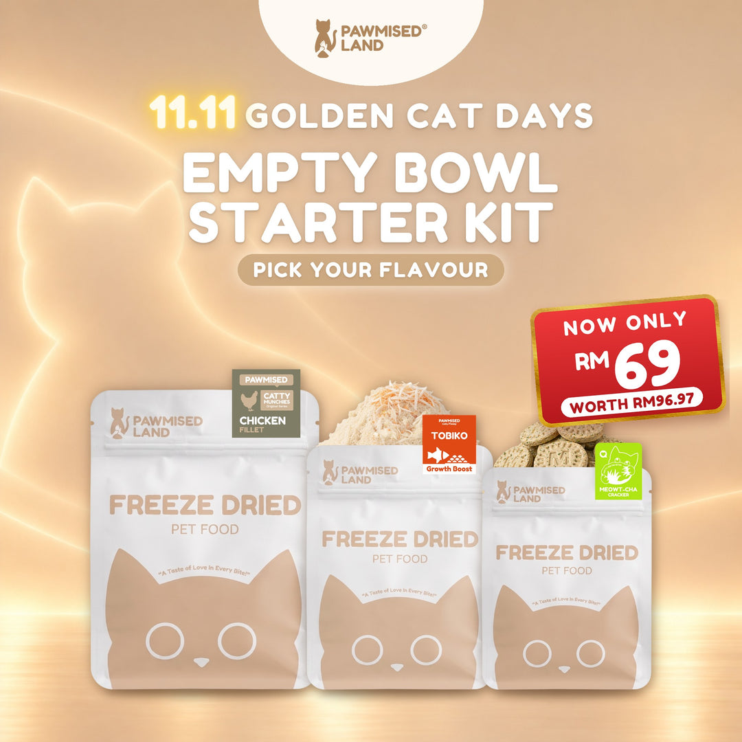 Empty Bowl Starter Kit, 11.11 Golden Cat Days bundle