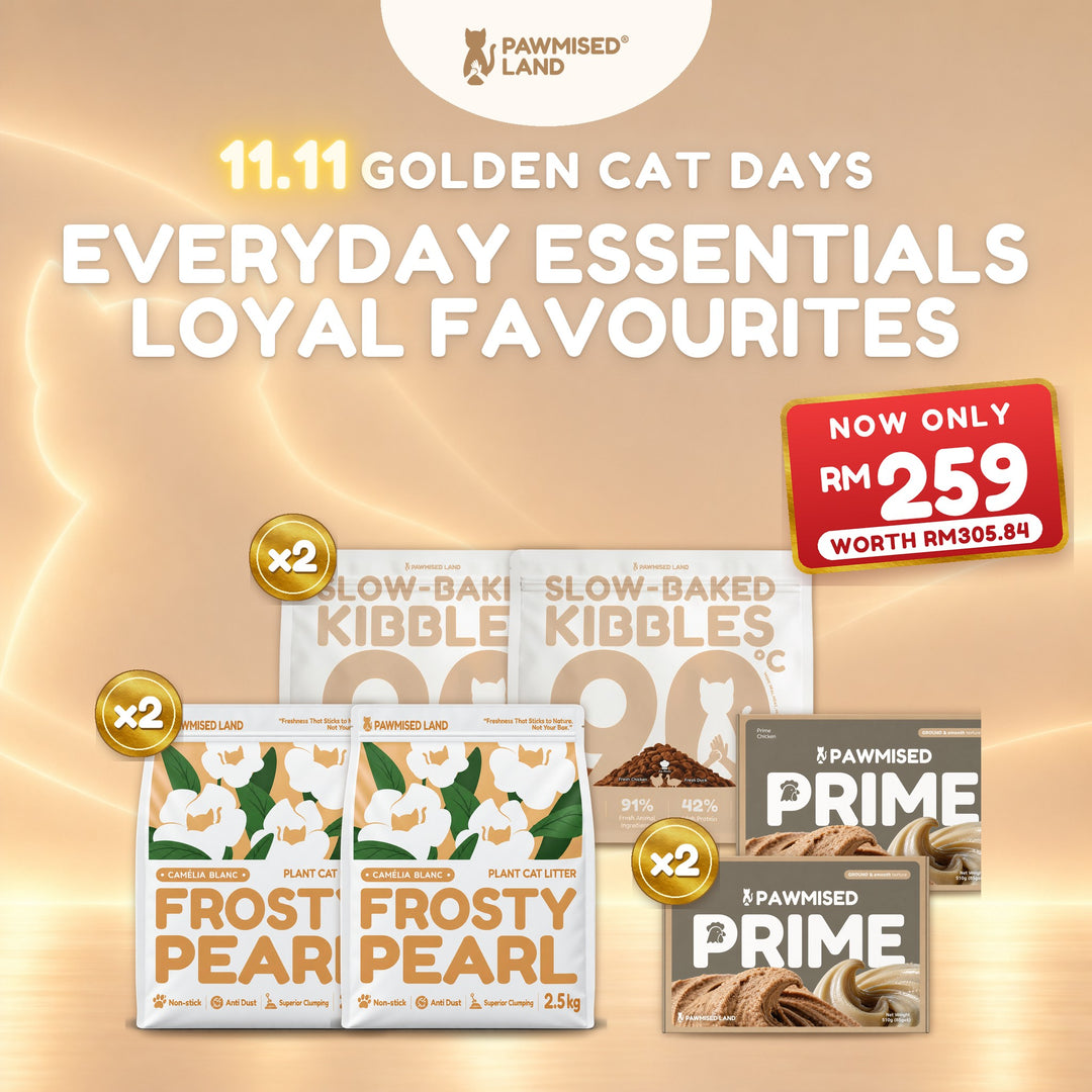 Everyday Essentials Loyal Favourites, 11.11 Golden Cat Days bundle
