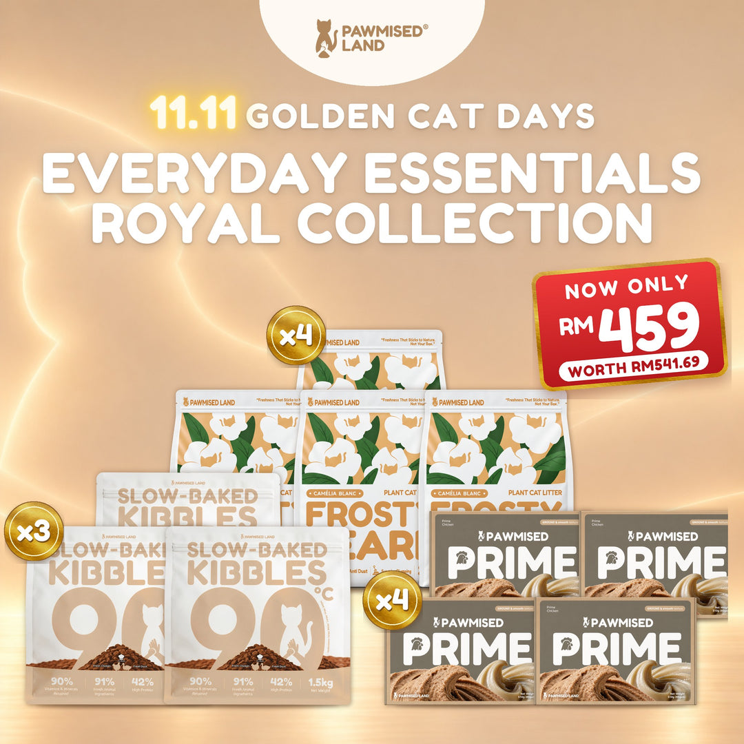 Everyday Essentials Royal Collection, 11.11 Golden Cat Days bundle