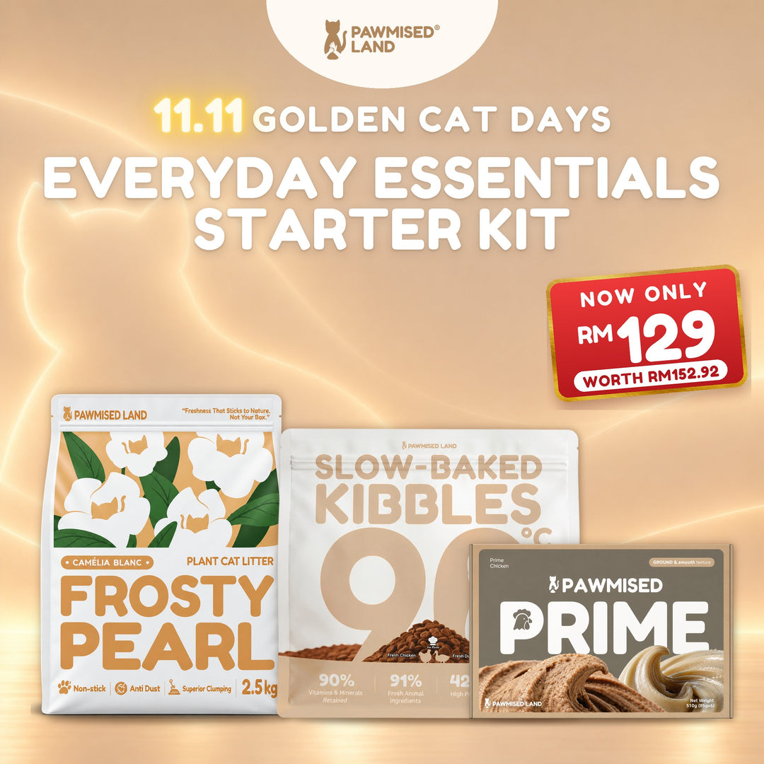 Everyday Essentials Starter Kit, 11.11 Golden Cat Days bundle
