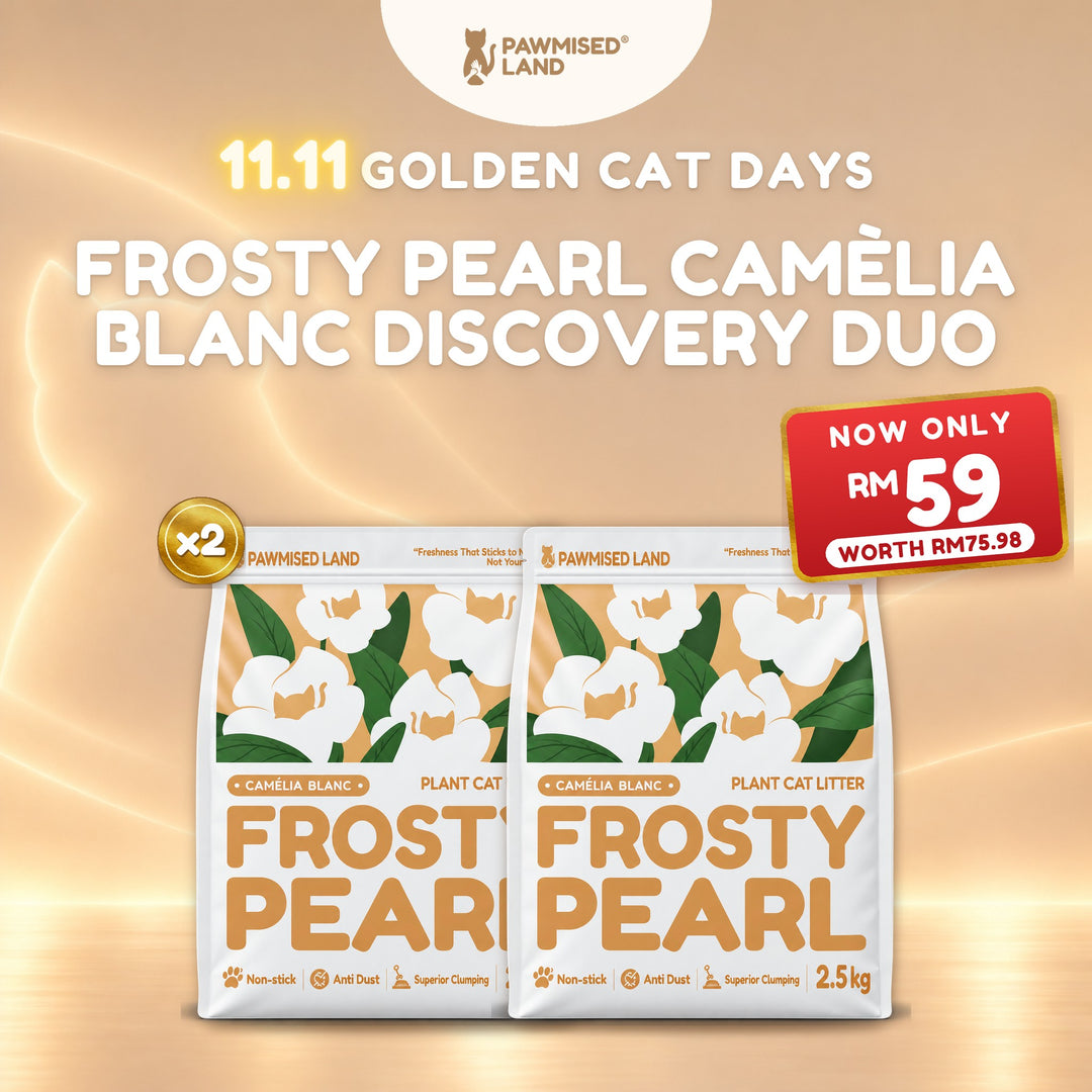 Frosty Pearl Camèlia Blanc Discovery Duo, 11.11 Golden Cat Days bundle