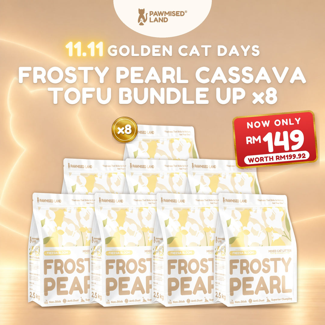 Frosty Pearl Cassava Tofu Bundle Up x8, 11.11 Golden Cat Days bundle