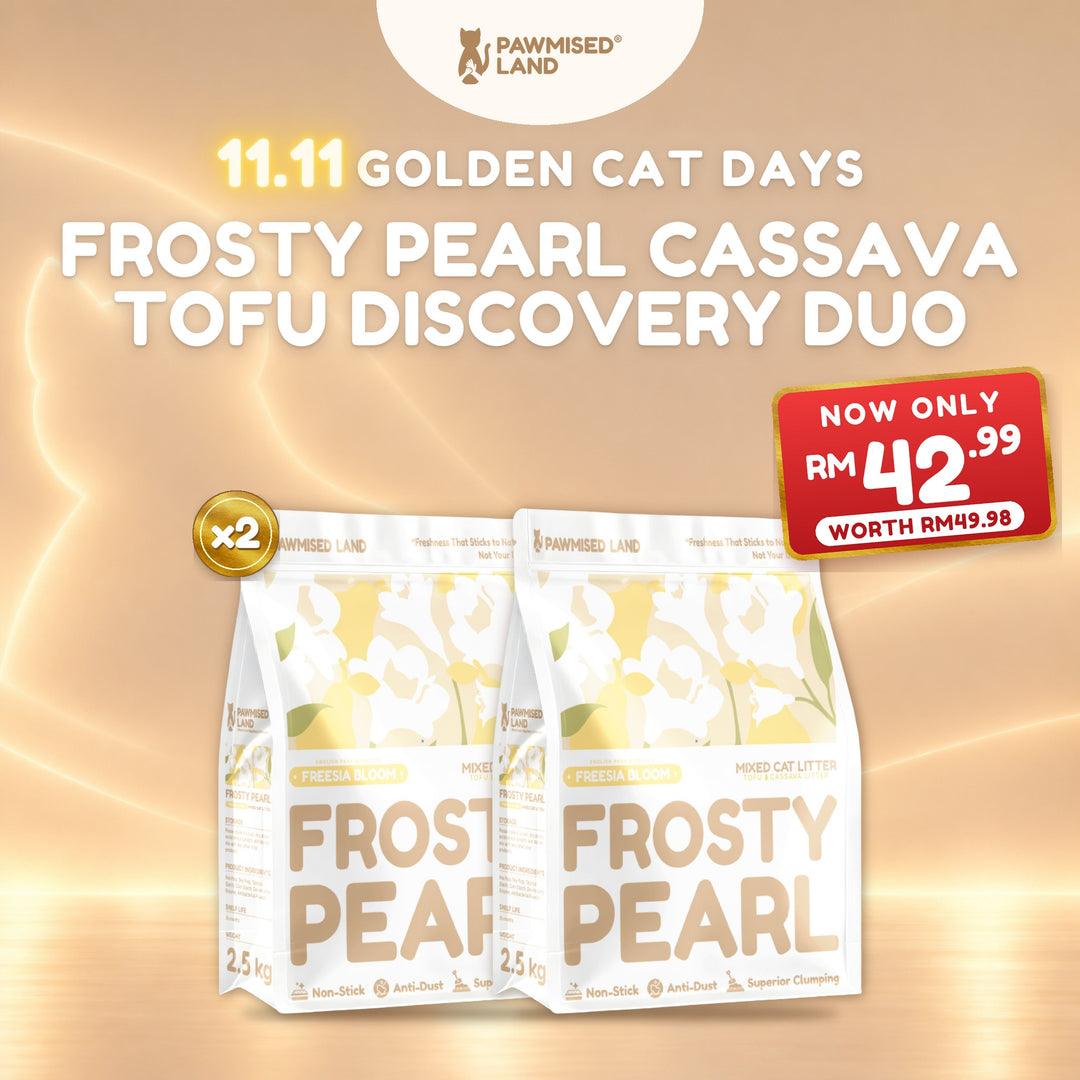 Frosty Pearl Cassava Tofu Discovery Duo, 11.11 Golden Cat Days bundle