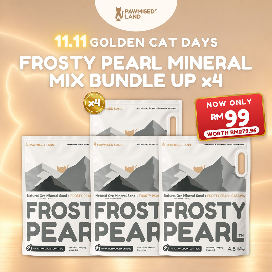 Frosty Pearl Mineral Mix Bundle Up x4, 11.11 Golden Cat Days bundle