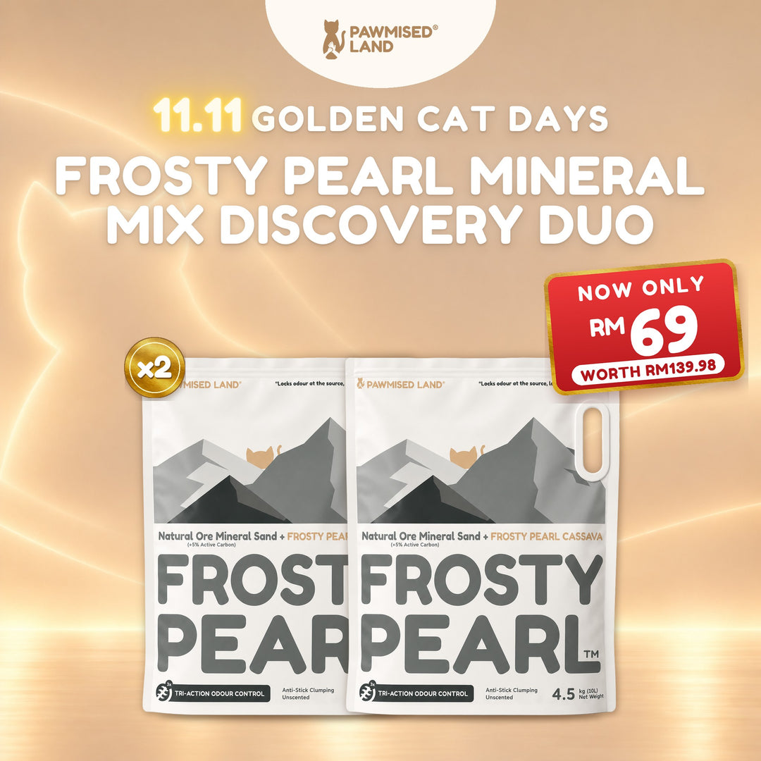 Frosty Pearl Mineral Mix Discovery Duo, 11.11 Golden Cat Days bundle