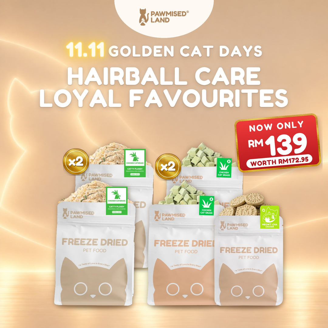 Hairball Care Loyal Favourites, 11.11 Golden Cat Days bundle