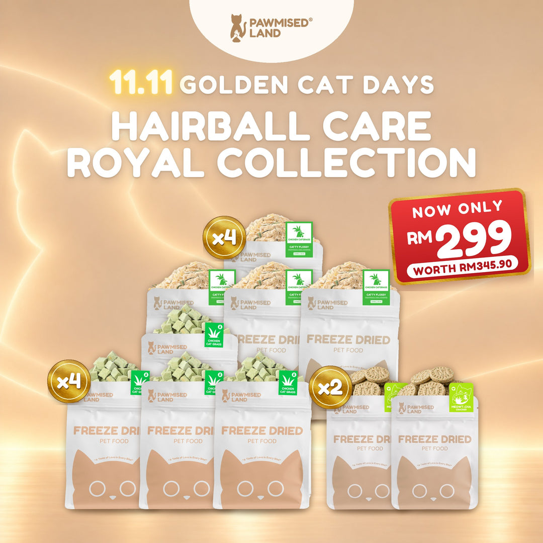 Hairball Care Royal Collection, 11.11 Golden Cat Days bundle