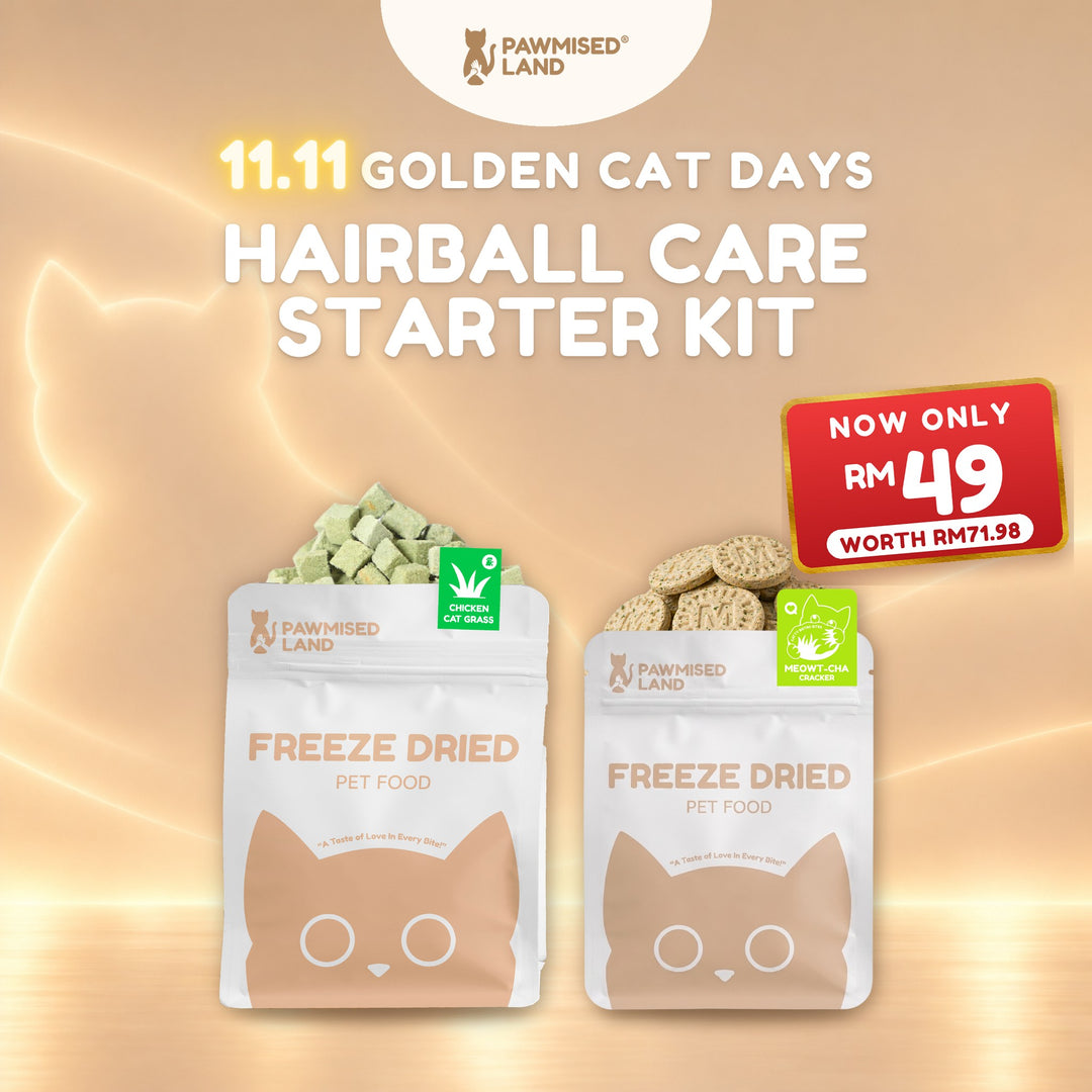 Hairball Care Starter Kit, 11.11 Golden Cat Days bundle