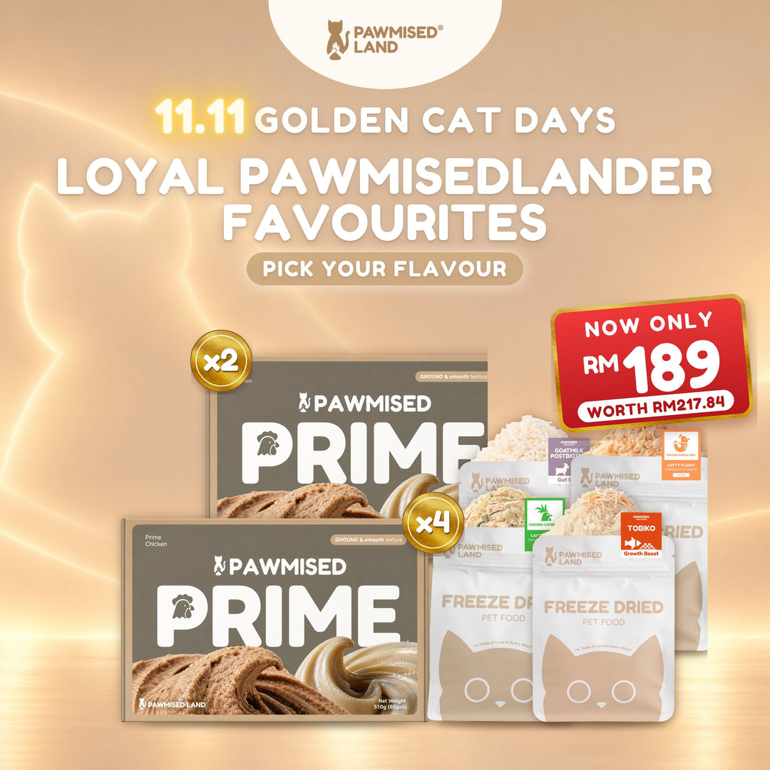 Loyal Pawmisedlander Favourites, 11.11 Golden Cat Days bundle