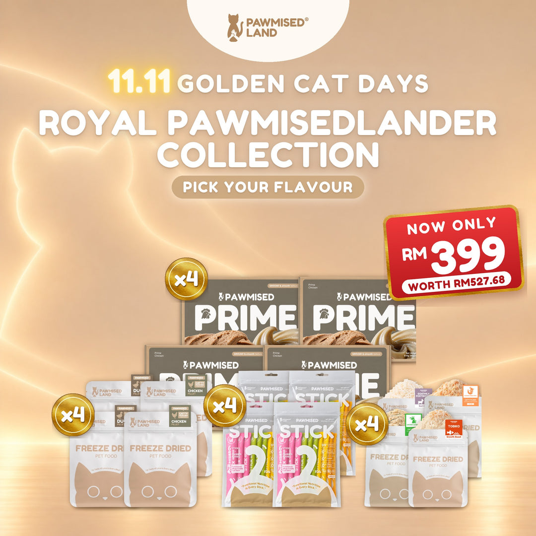 Royal Pawmisedlander Collection, 11.11 Golden Cat Days bundle