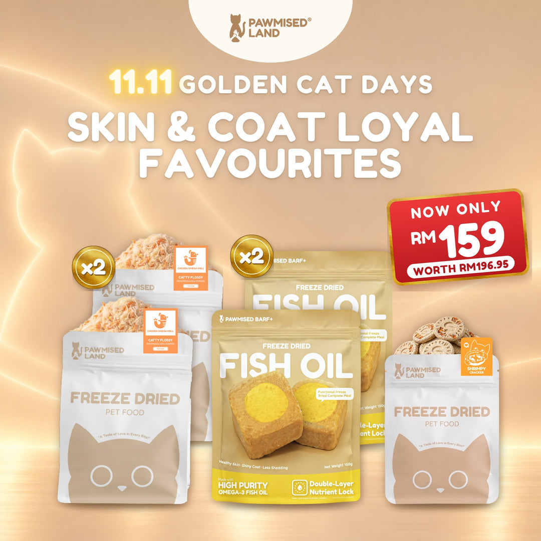 Skin & Coat Loyal Favourites, 11.11 Golden Cat Days bundle